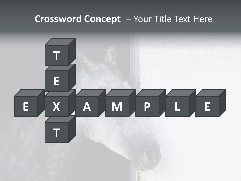 Profile Nobody Fineartprints PowerPoint Template