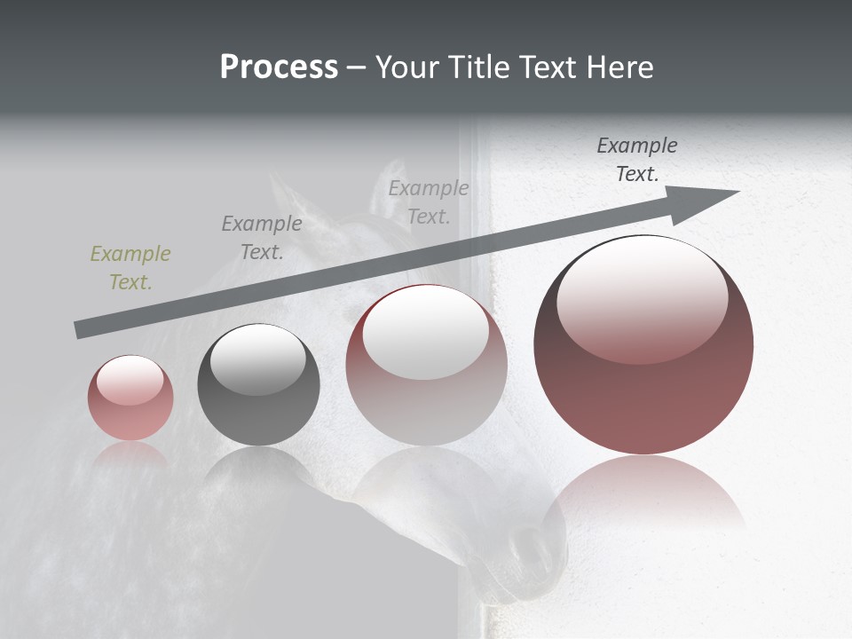 Profile Nobody Fineartprints PowerPoint Template