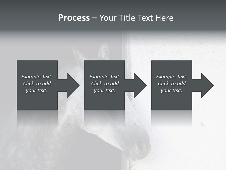 Profile Nobody Fineartprints PowerPoint Template