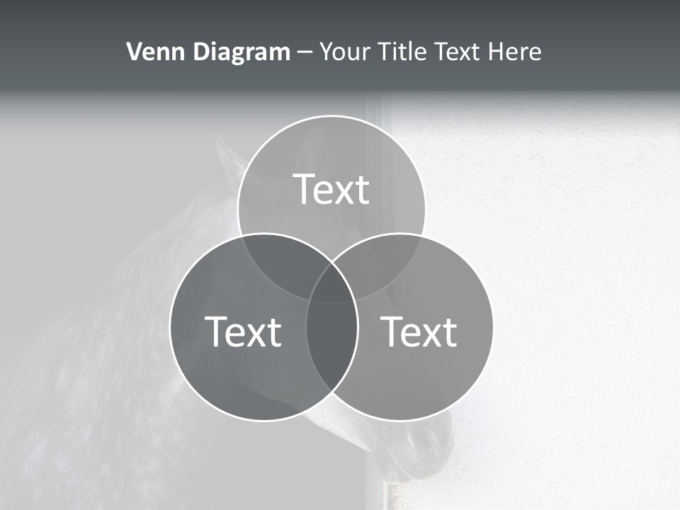 Profile Nobody Fineartprints PowerPoint Template