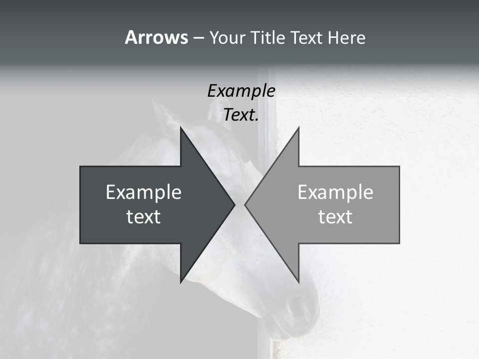 Profile Nobody Fineartprints PowerPoint Template