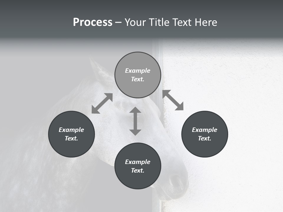 Profile Nobody Fineartprints PowerPoint Template