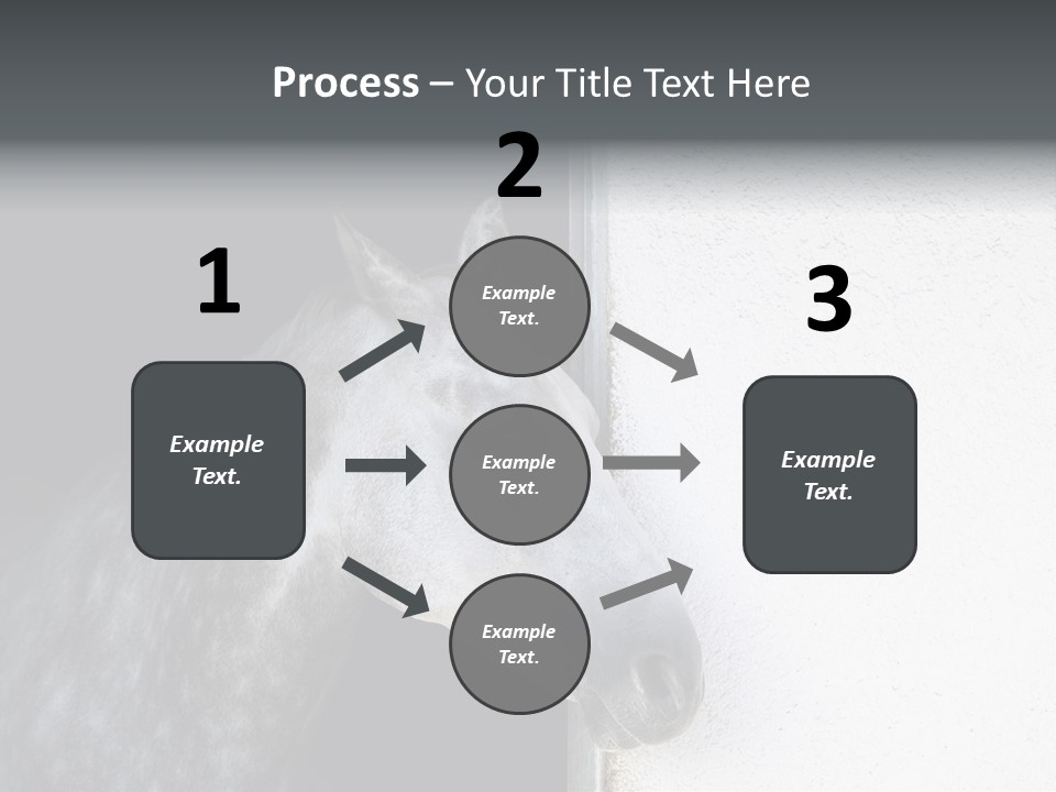 Profile Nobody Fineartprints PowerPoint Template