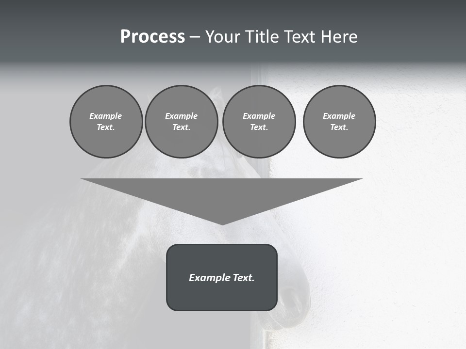 Profile Nobody Fineartprints PowerPoint Template