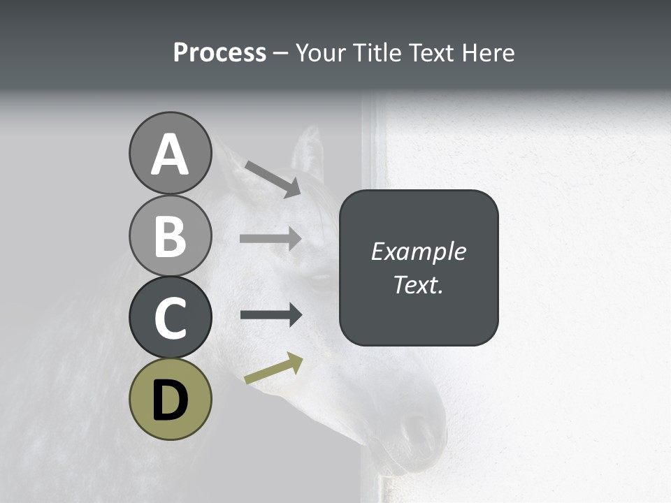 Profile Nobody Fineartprints PowerPoint Template