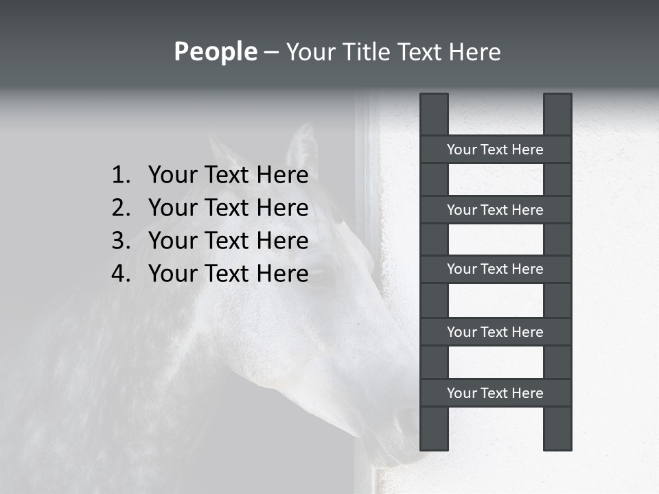 Profile Nobody Fineartprints PowerPoint Template