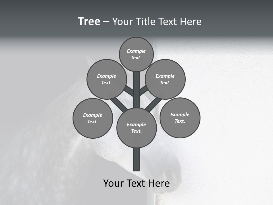 Profile Nobody Fineartprints PowerPoint Template