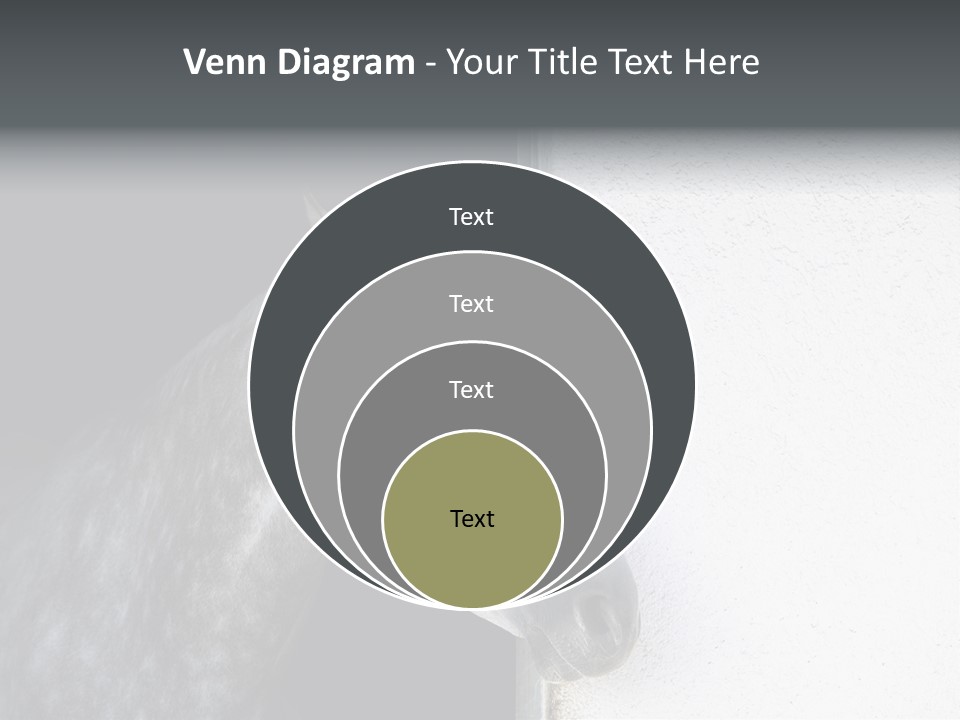 Profile Nobody Fineartprints PowerPoint Template