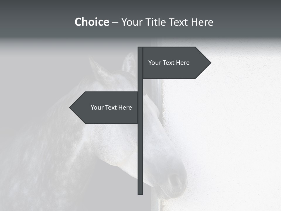 Profile Nobody Fineartprints PowerPoint Template