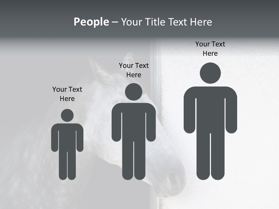 Profile Nobody Fineartprints PowerPoint Template