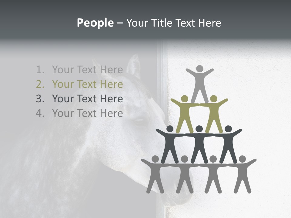 Profile Nobody Fineartprints PowerPoint Template