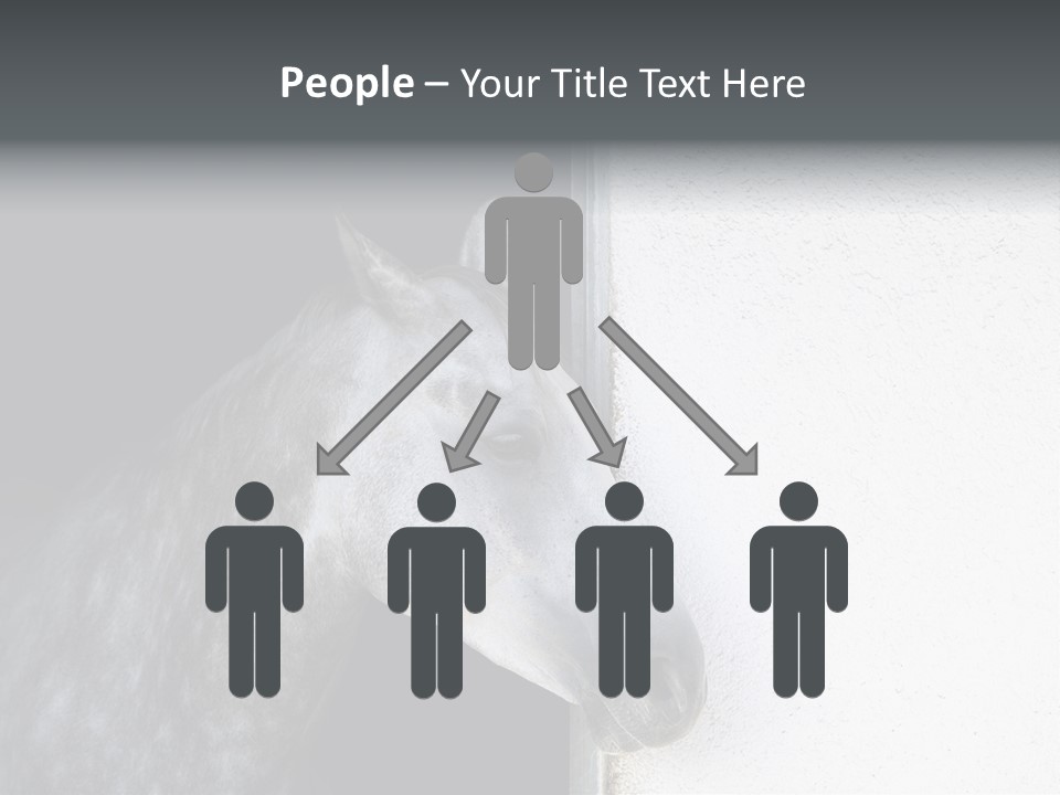 Profile Nobody Fineartprints PowerPoint Template