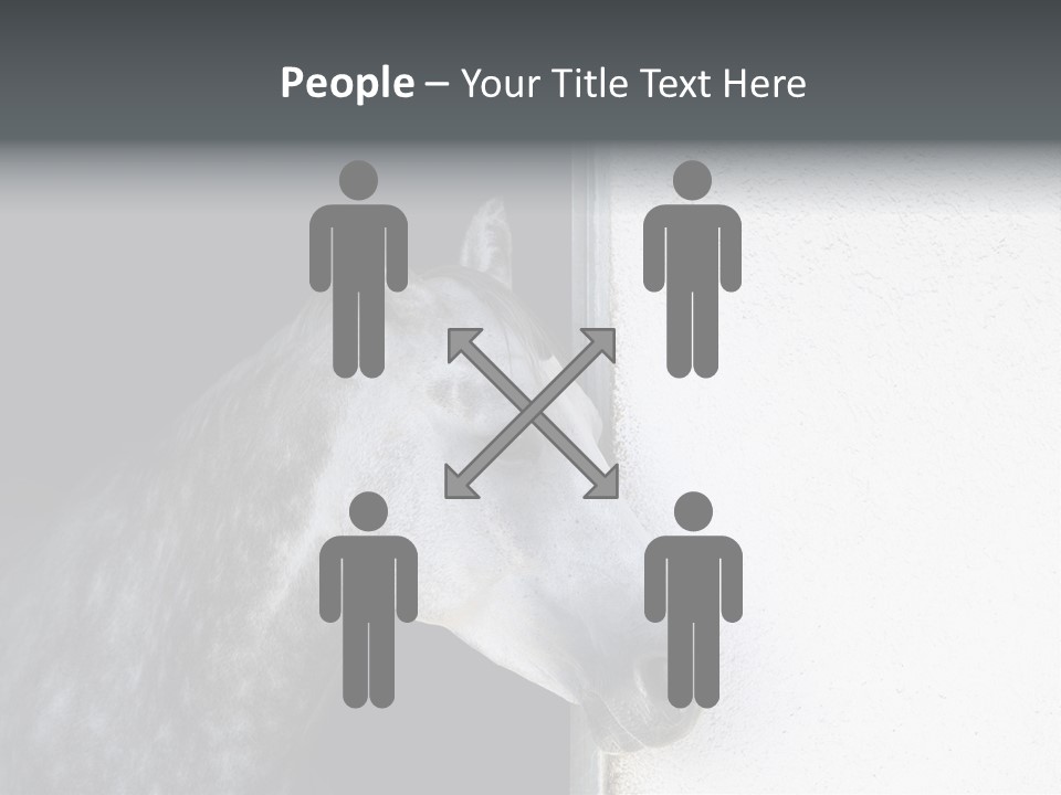 Profile Nobody Fineartprints PowerPoint Template