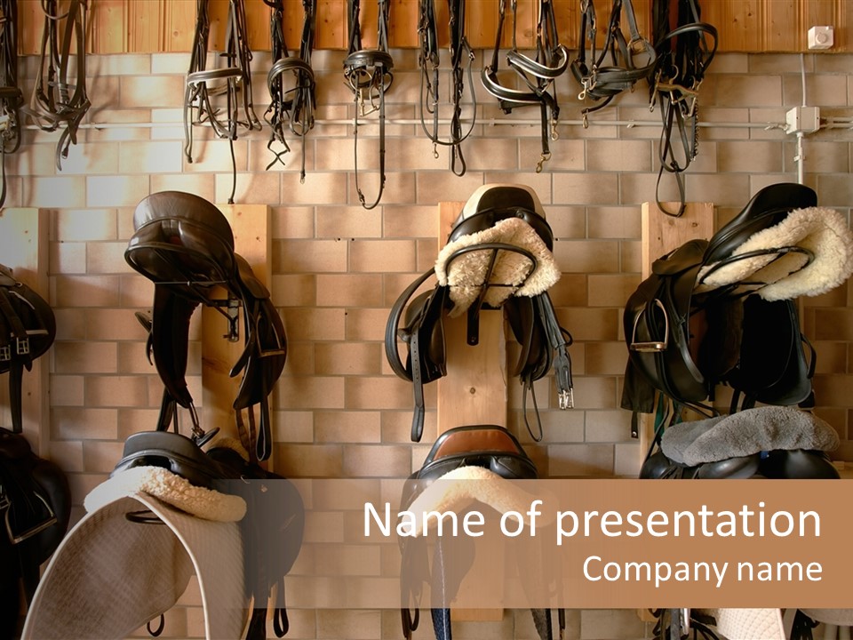 Equipment Stirrup Ridingtack PowerPoint Template