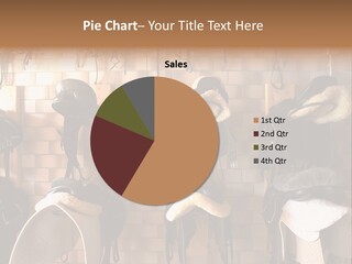 Equipment Stirrup Ridingtack PowerPoint Template