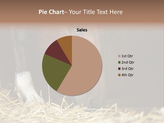 Landform Fineartprints Head PowerPoint Template