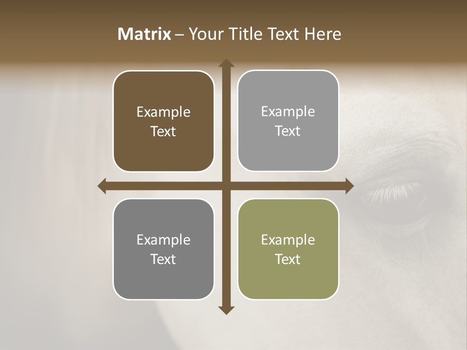 Posters Print Eye PowerPoint Template