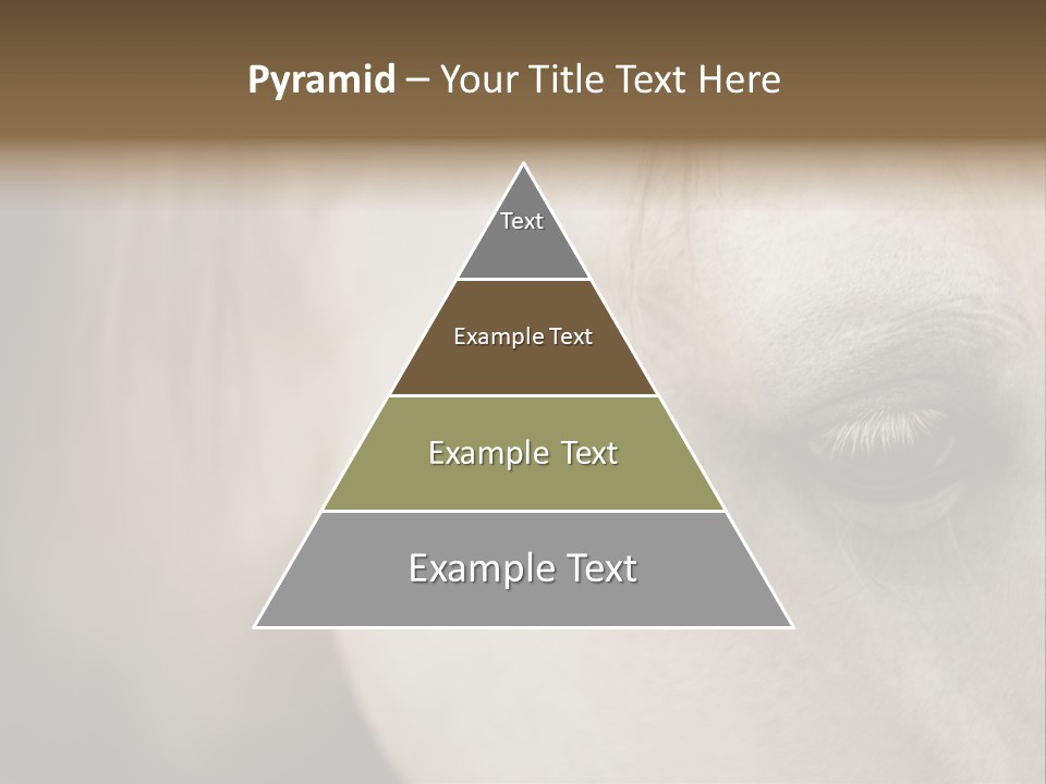 Posters Print Eye PowerPoint Template