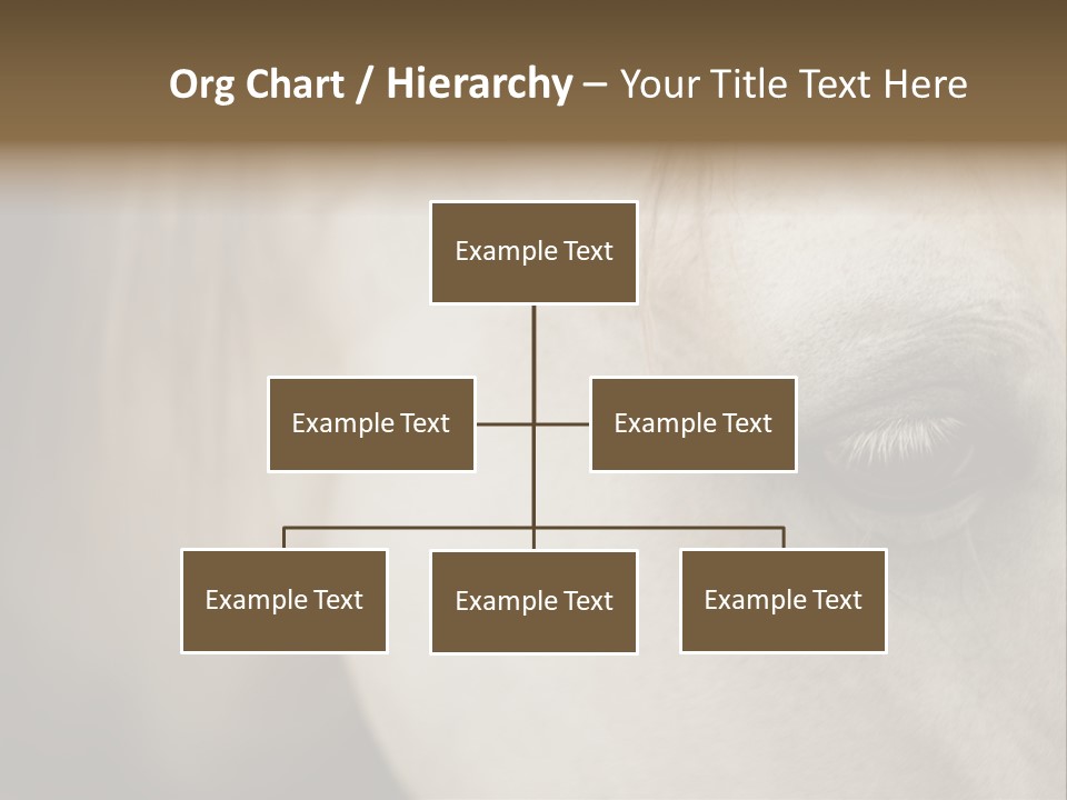 Posters Print Eye PowerPoint Template