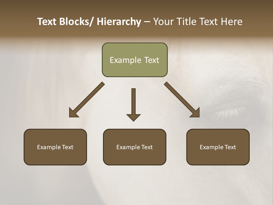 Posters Print Eye PowerPoint Template
