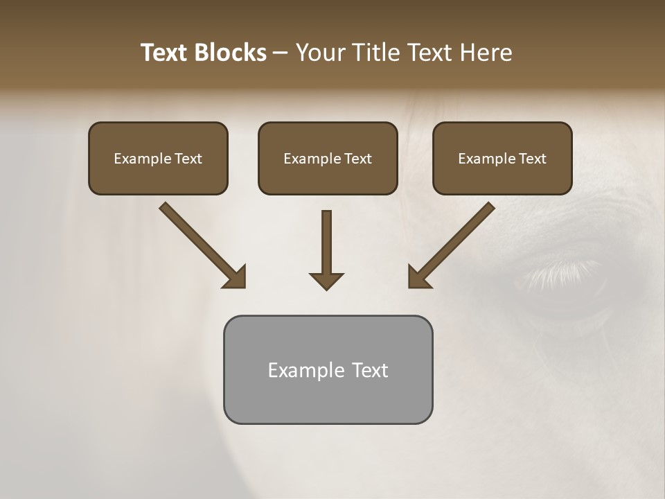 Posters Print Eye PowerPoint Template