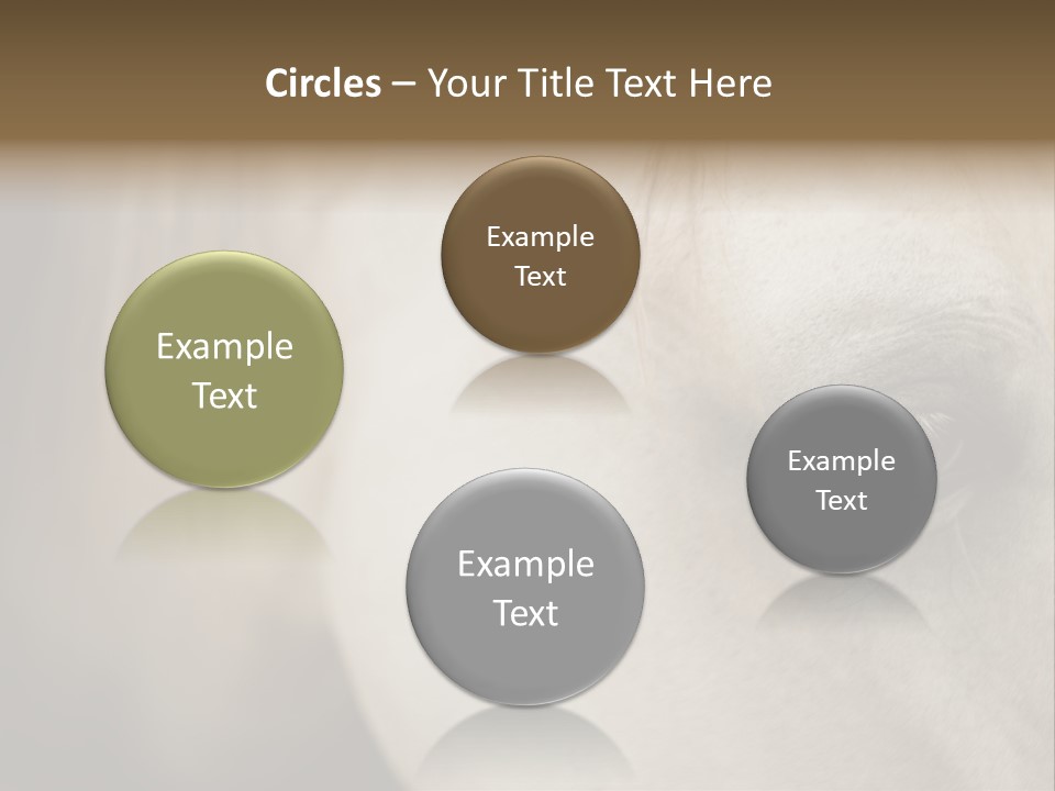 Posters Print Eye PowerPoint Template