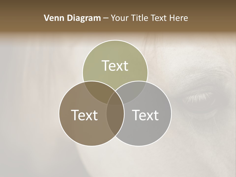 Posters Print Eye PowerPoint Template