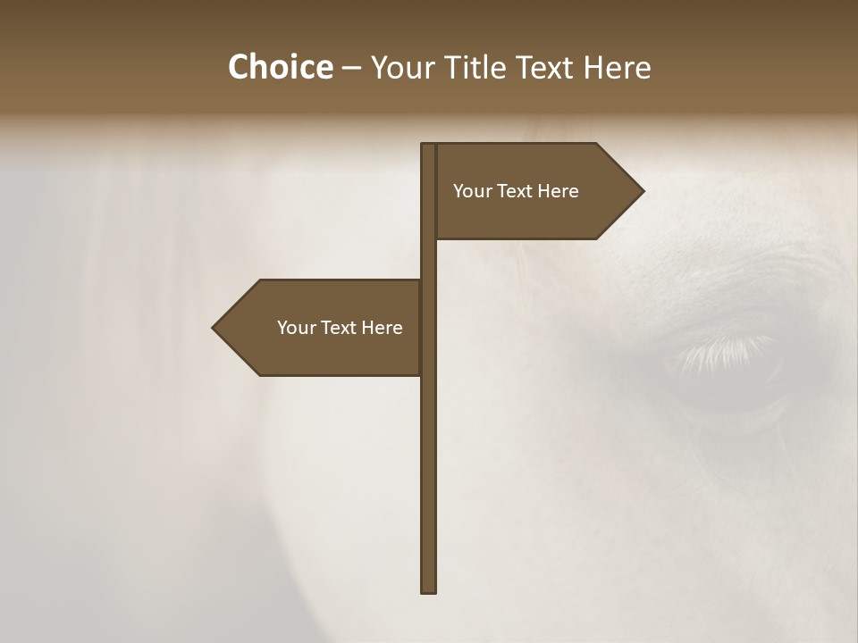 Posters Print Eye PowerPoint Template