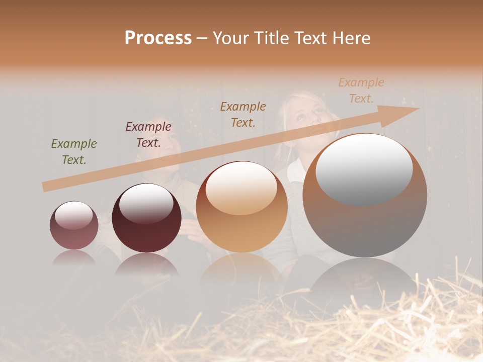 Hay Royaltyfree Fineartprints PowerPoint Template