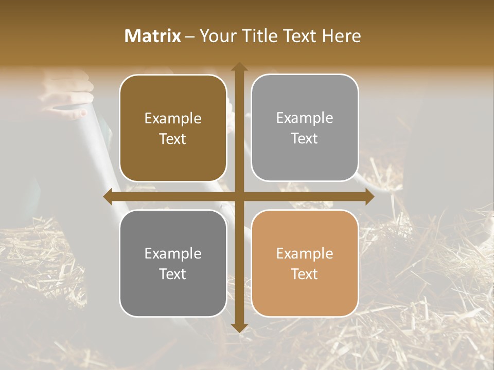 Print Pictures Leg PowerPoint Template