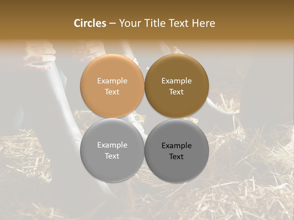 Print Pictures Leg PowerPoint Template