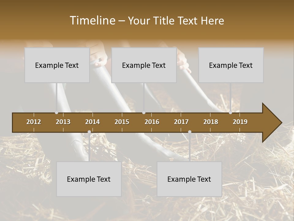 Print Pictures Leg PowerPoint Template