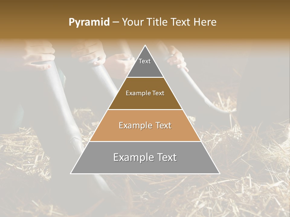 Print Pictures Leg PowerPoint Template