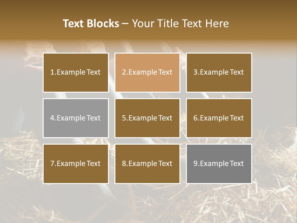 Print Pictures Leg PowerPoint Template