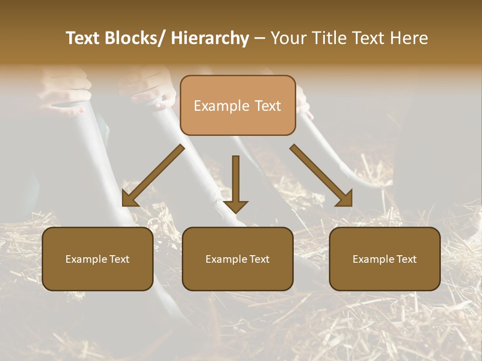 Print Pictures Leg PowerPoint Template