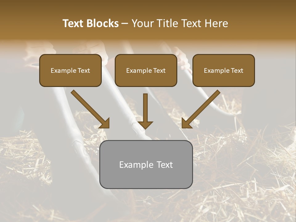 Print Pictures Leg PowerPoint Template