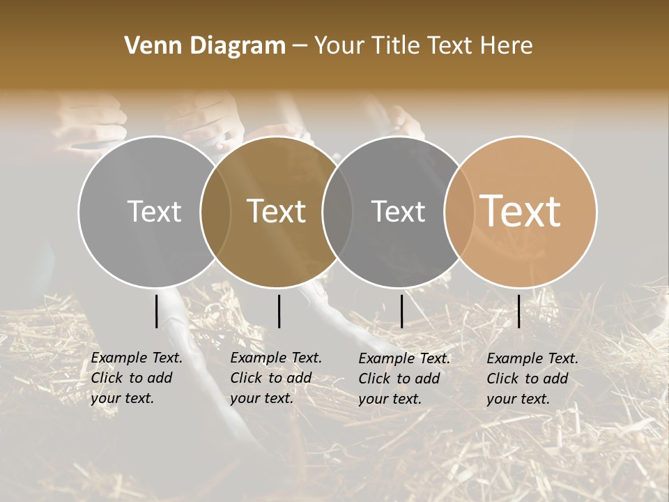 Print Pictures Leg PowerPoint Template