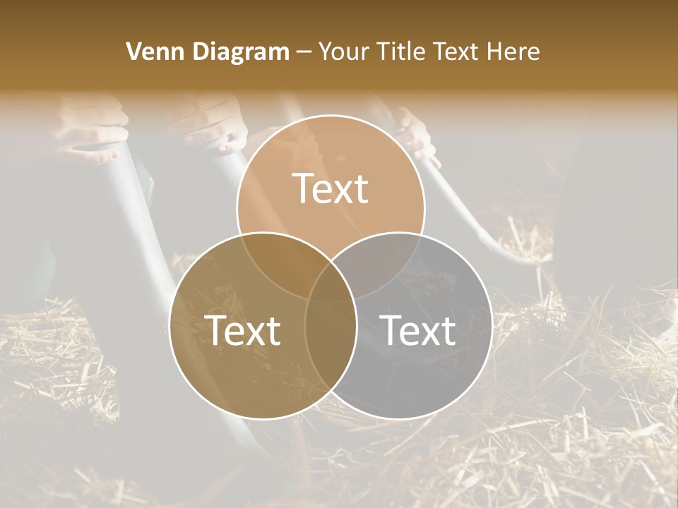 Print Pictures Leg PowerPoint Template