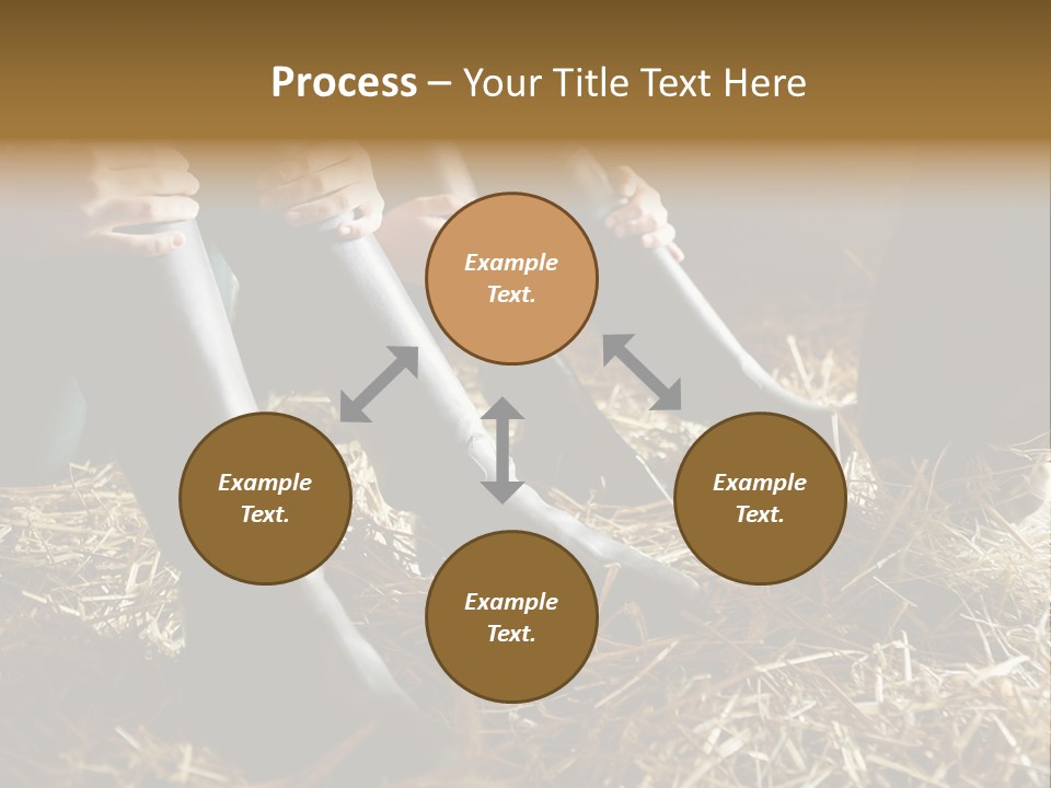 Print Pictures Leg PowerPoint Template