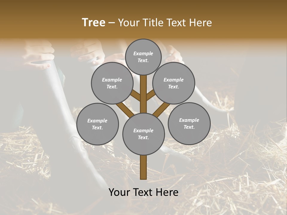 Print Pictures Leg PowerPoint Template