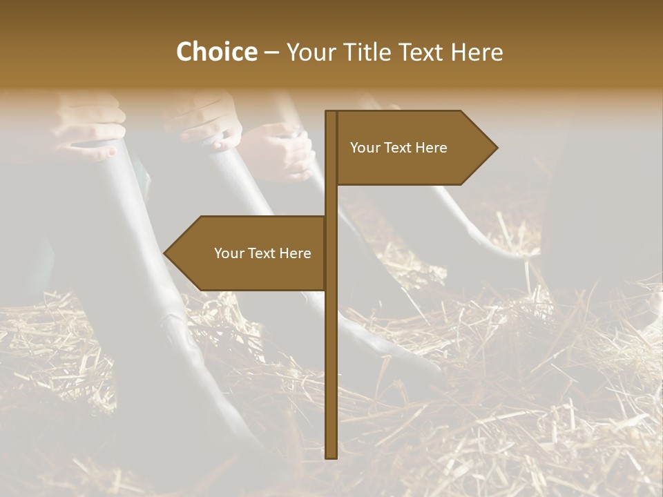 Print Pictures Leg PowerPoint Template