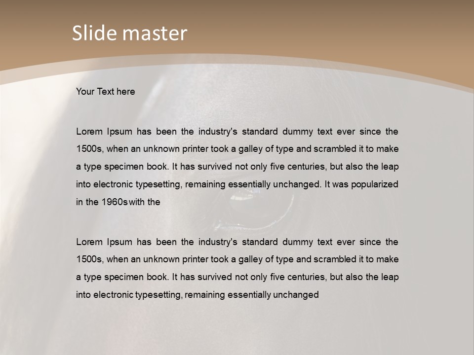 Bay Images Fineartprints PowerPoint Template