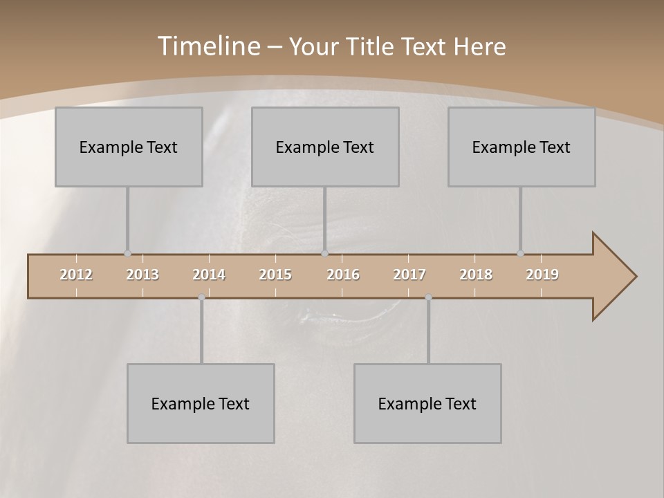 Bay Images Fineartprints PowerPoint Template