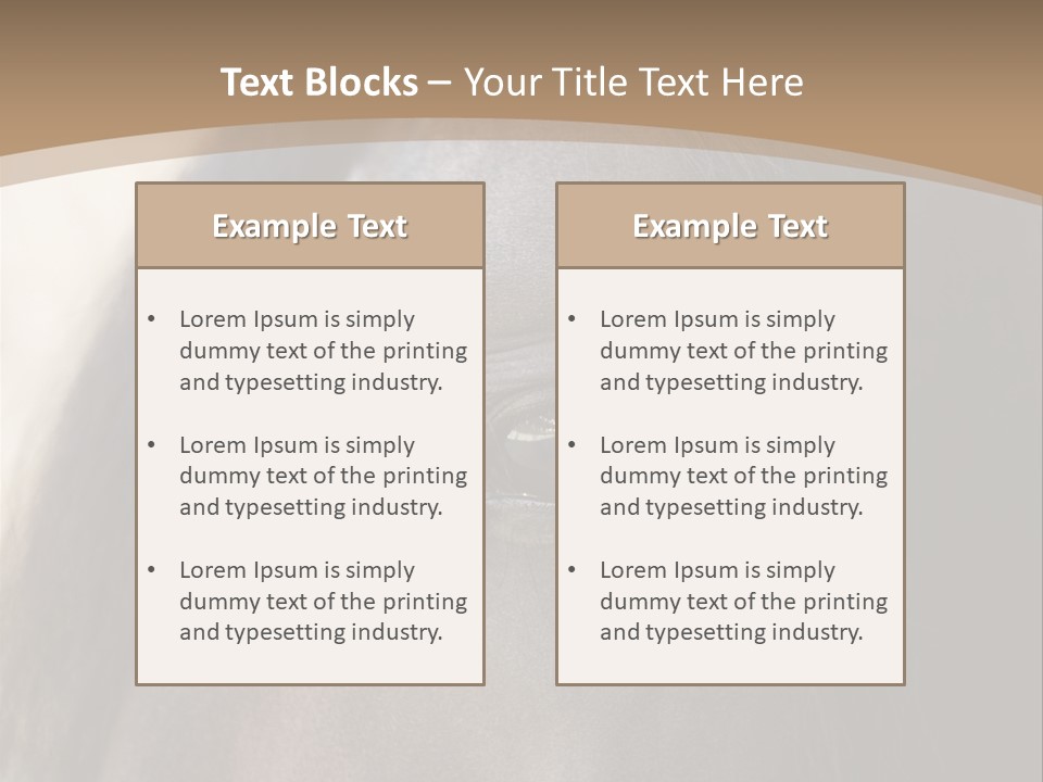 Bay Images Fineartprints PowerPoint Template