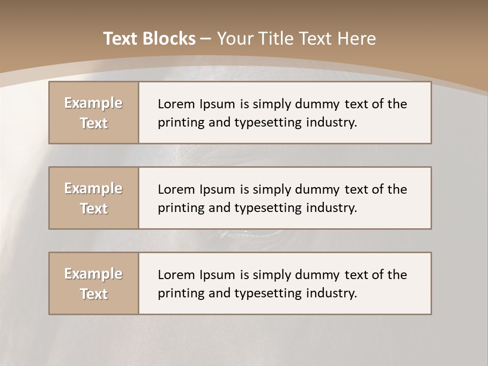 Bay Images Fineartprints PowerPoint Template
