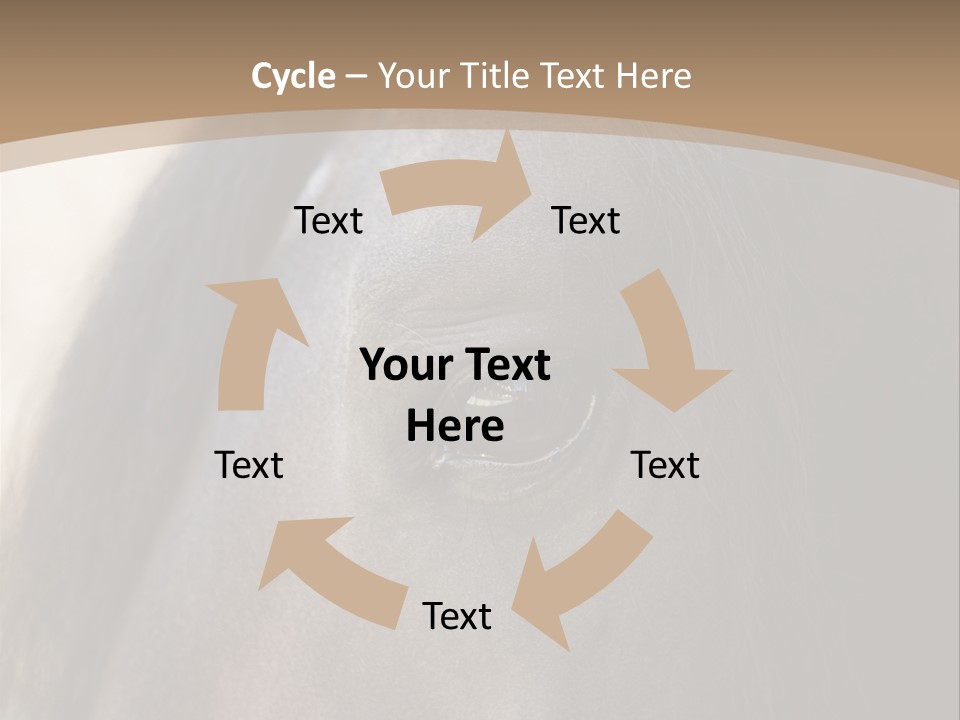 Bay Images Fineartprints PowerPoint Template