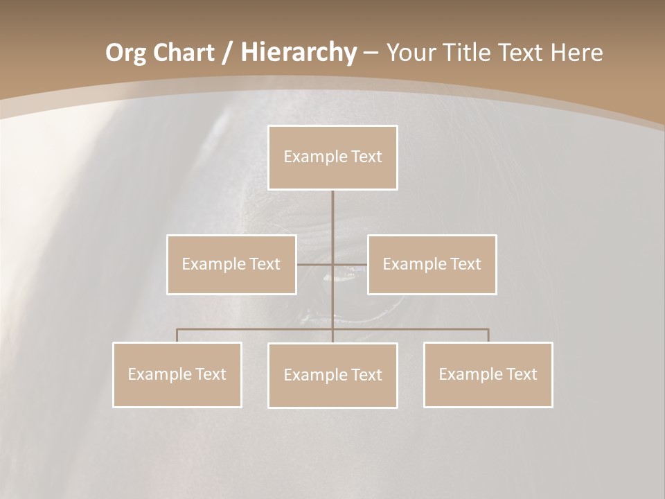 Bay Images Fineartprints PowerPoint Template