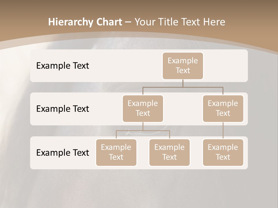 Bay Images Fineartprints PowerPoint Template