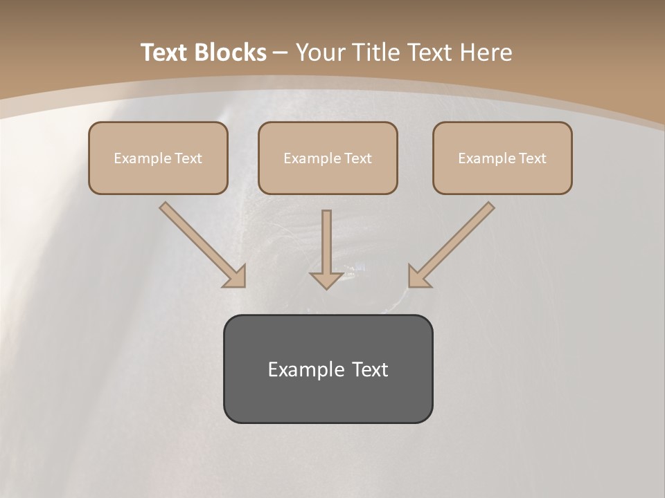 Bay Images Fineartprints PowerPoint Template