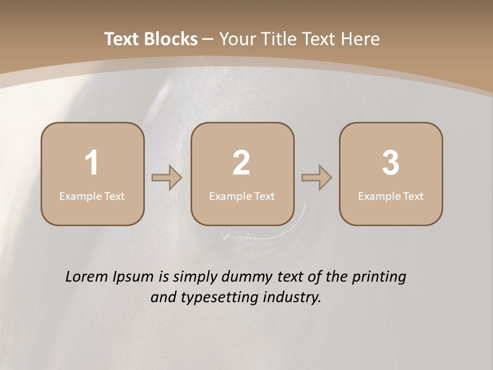 Bay Images Fineartprints PowerPoint Template